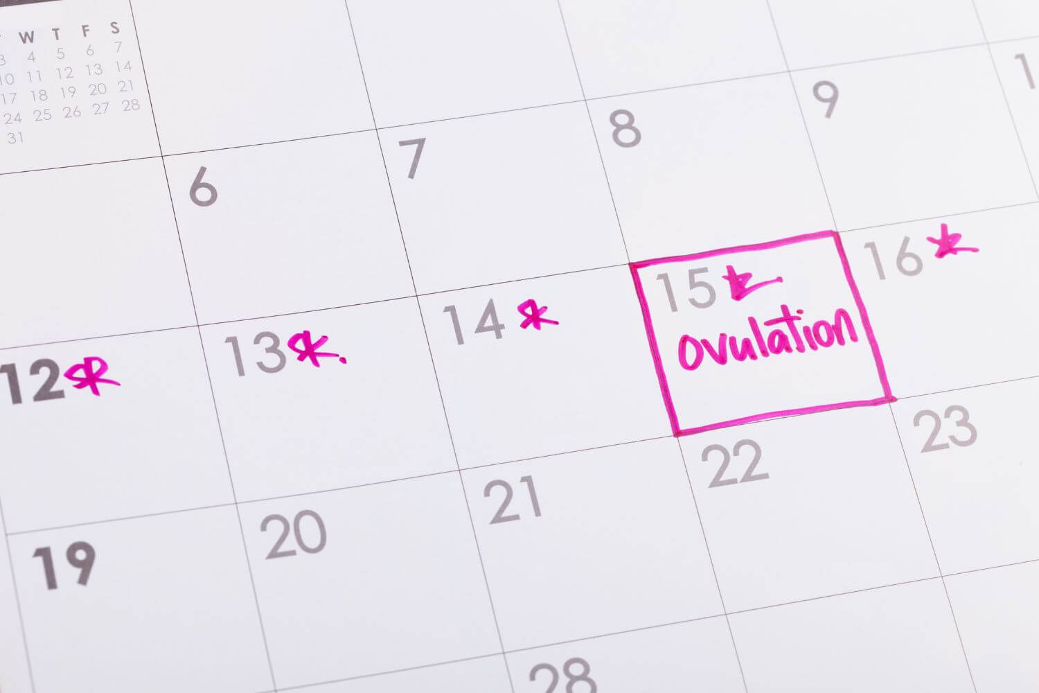 Paper calendar showing ovulation tracking data